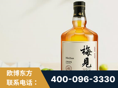 北安-梅见青梅酒